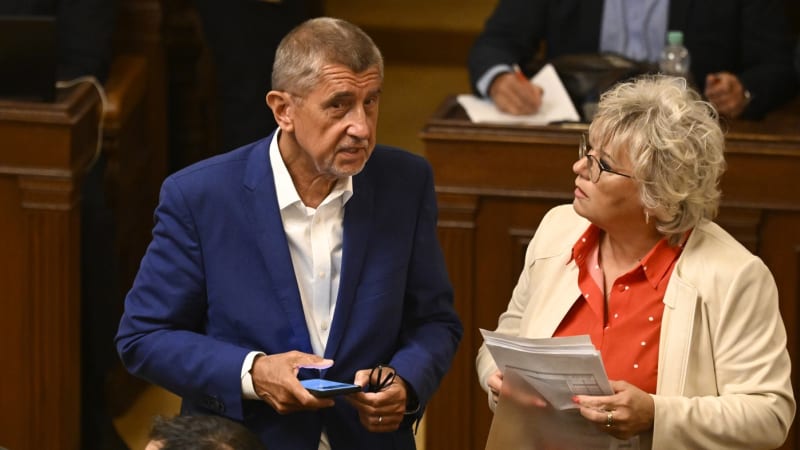 Balaštíková končí na kandidátce ANO. Kvůli nahrávkám se o poslankyni zajímá policie