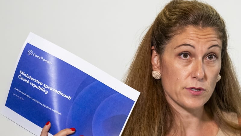 Zatčení Jiřikovského je pro vládu obrovská ostuda, míní Kubáček. Decroix je podle něj v úzkých