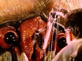 Samsung vysává mozky z Intelu, ten se potýká s odlivem talentů