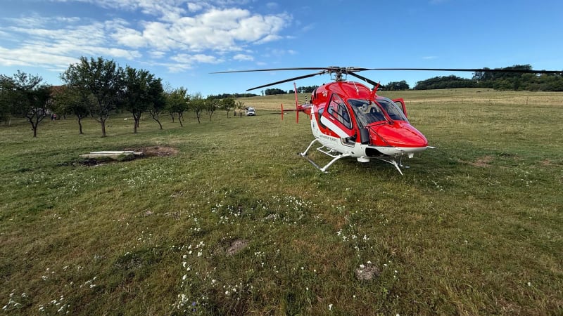 Jelen usmrtil na Slovensku muže, který ho zachraňoval. Uvázlé zvíře mu nešťastně přeťalo tepnu
