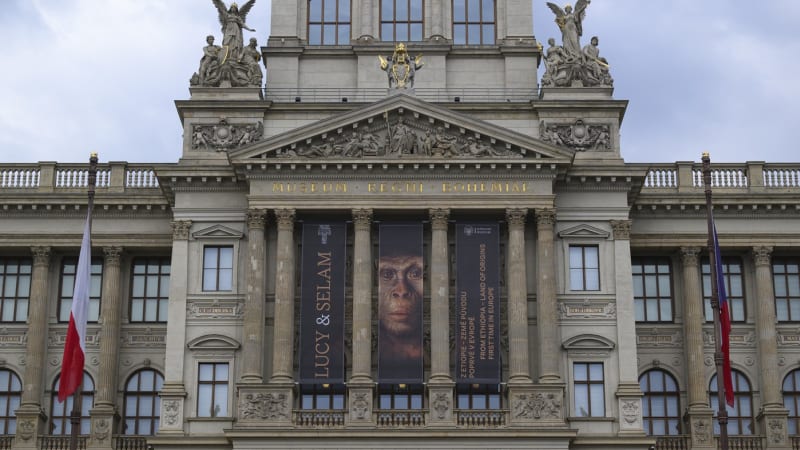 Ukrajinu nahradila opice. Ruská média si všimla změny vlajek v Praze a šíří propagandu