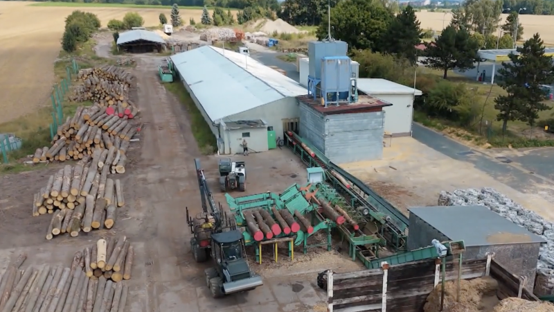 Udržitelné zpracování dřeva: tradice spojená s moderním přístupem Wood Seeds