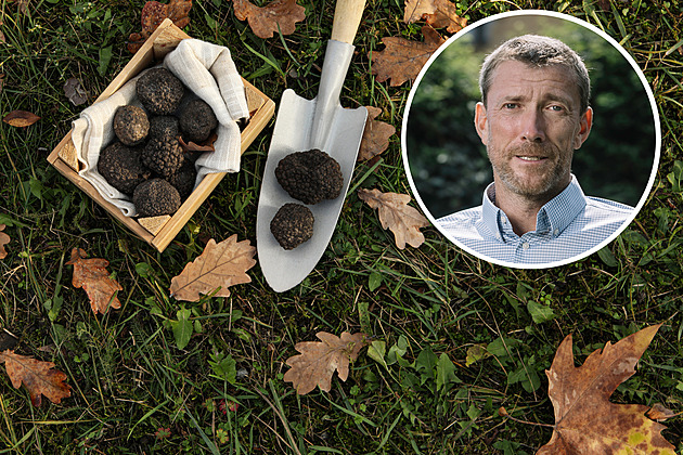 První zmínky o lanýžích jsou z Čech, teprve pak z Francie a Itálie, potvrdily archivy