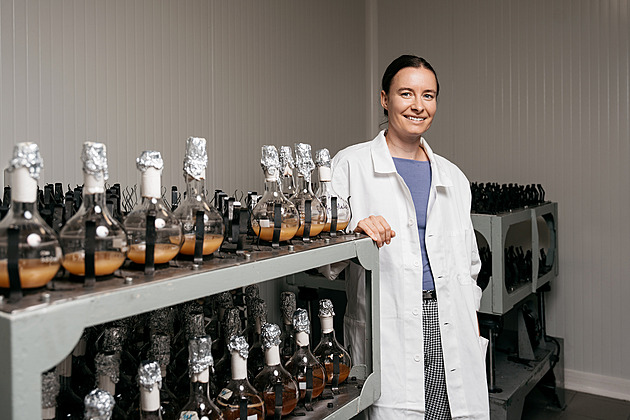 Váhala bych, zda dám synovi morče. Šíří mykózu, a tedy záněty kůže, líčí vědkyně