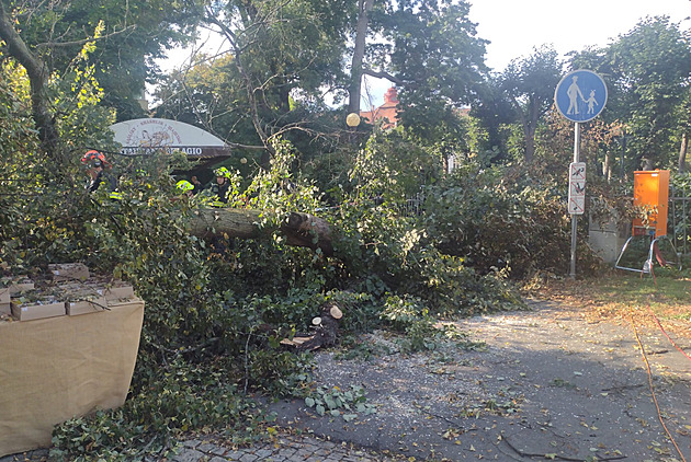Mezi stánky na hlavní třídě v Karlových Varech spadl strom, zranil ženu