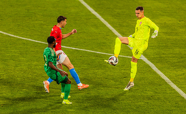 Jeden z nejhorších výkonů pod Haškem, shodli se čtenáři. Chválili gólmany i Berana