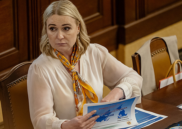 Černochová podpořila sestřelení ruského letounu při opakování provokací