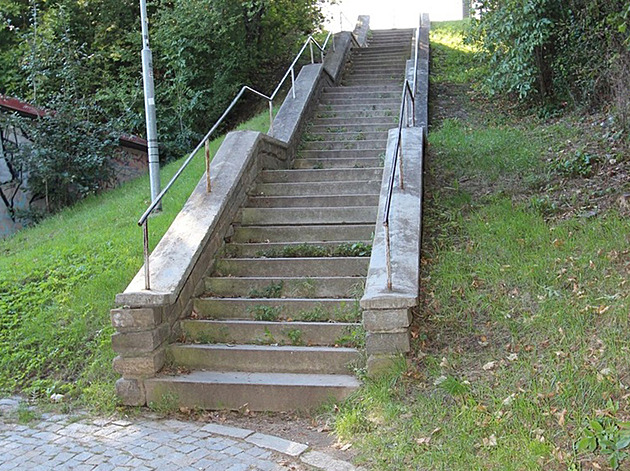 Jedné ženě chtěl ukrást psa, druhou vzal do kravaty a sebral jí brýle