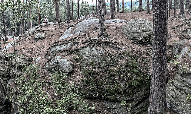 Ruce pryč od Maštale! Nezávislí odborníci vyzvali kraj, ať nechá rezervaci na pokoji