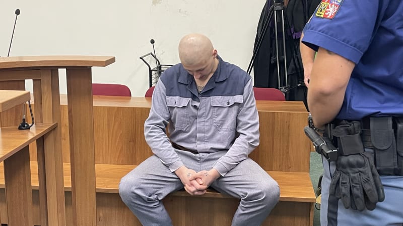 Podřezání fenky Chilli u soudu: Mladík vykopal psovi hrobeček. Svědek popsal jeho návrat z lesa