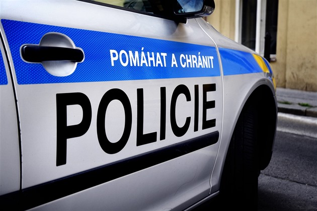 Osmnáctiletý mladík tři dny plánoval vraždu, urážka stála jeho soka život