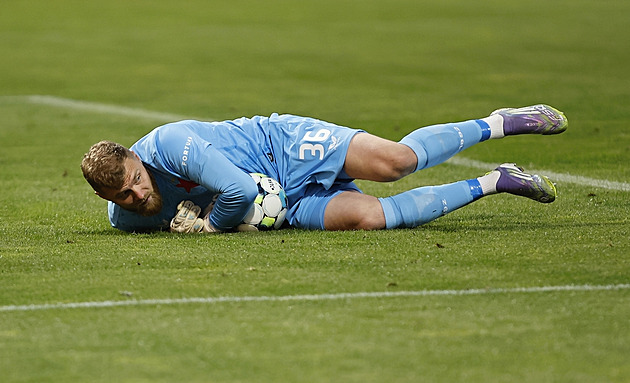 Staněk a Jaroš vypadli z reprezentace kvůli zdraví. Nahradí je Jedlička s Horníčkem