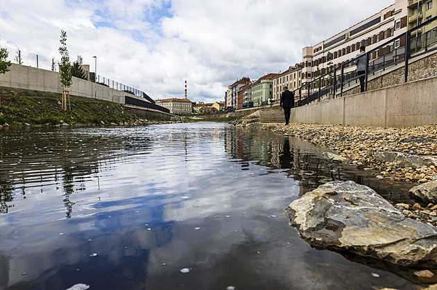 Místo uměleckých maleb budou rostliny. Brno změnilo názor na výzdobu náplavky