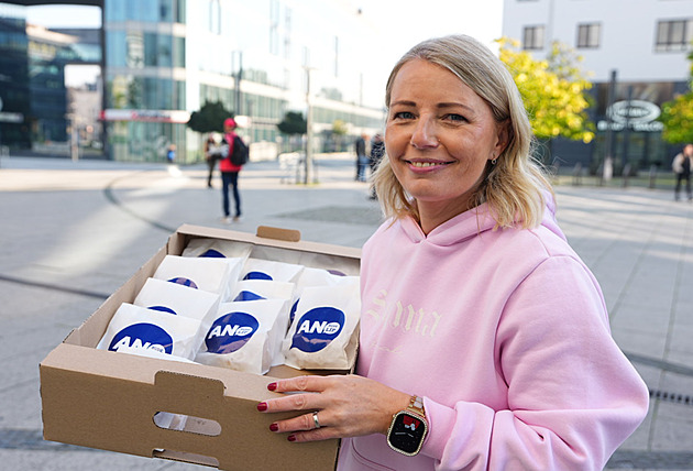 Moravskoslezští poslanci řeší více funkcí. Jeden navíc i titul, který ho překvapil