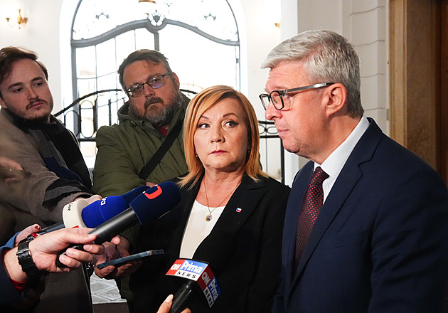 Za své ministry si odpovídají Motoristé sobě, řekl Fiala z SPD ke kauze Turek