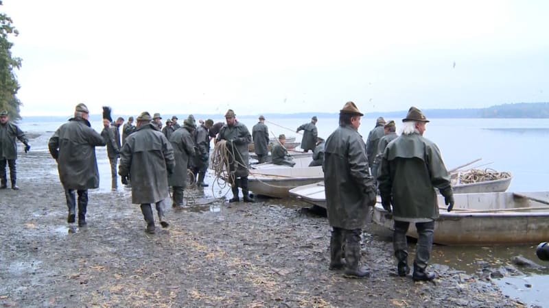 Začal výlov Rožmberka. Největší rybník v Česku by měl vydat zhruba 100 tun kaprů a dalších ryb