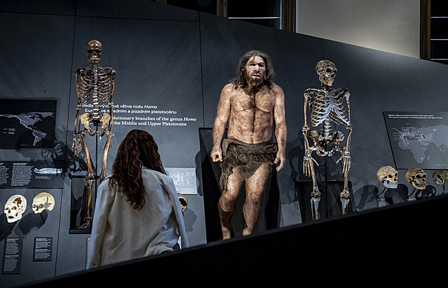 Prapředky lidstva Lucy a Selam obdivoval v Národním muzeu rekordní počet lidí