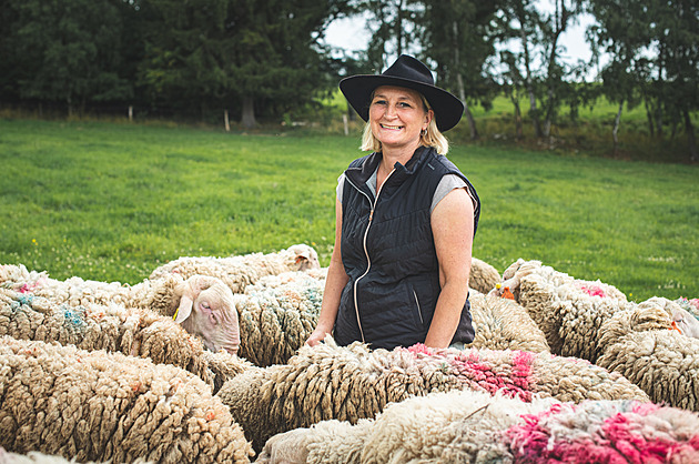 Potraviny k nezaplacení: Objevujte chutě Regionálních potravin