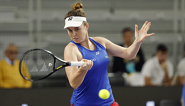 Tenis ONLINE: Nosková srovnala, s Havlíčkovou v rozhodující čtyřhře dominují