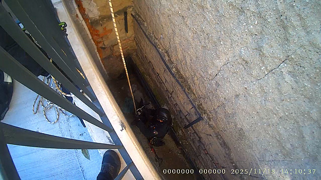 Kotě spadlo do pětimetrové šachty, díky mňoukání se dočkalo pomoci