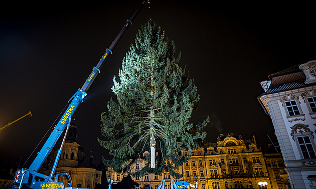 Na Staroměstském náměstí v noci vztyčili vánoční strom. Rozsvítí ho v sobotu