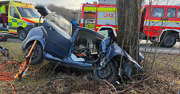 Auto narazilo do stromu, senioři se zranili. Někdo mě ohrozil a ujel, řekl řidič