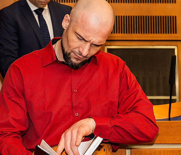 Krutý vrah z Pohodlí si u soudu stěžoval na opomenuté důkazy a rozpory v rozsudku