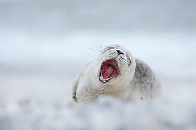 S vášní pro fotografii cestuje po světě. Jako průvodce s citem pro detaily