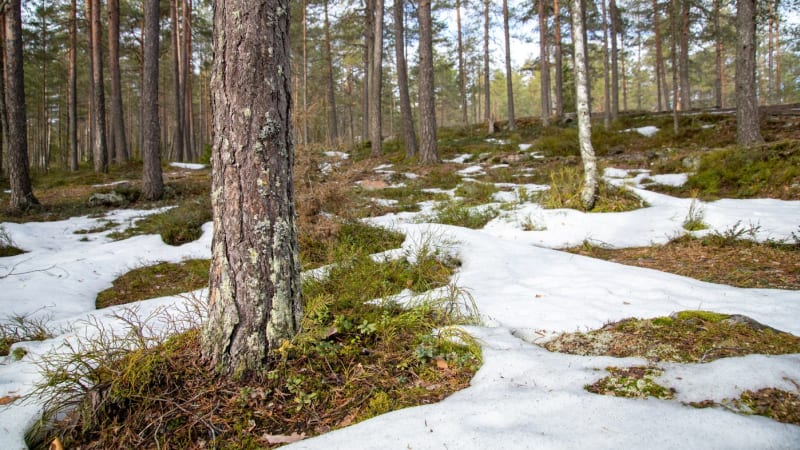 Teploty vystřelí o více než 10 stupňů. MAPA ukazuje enormní rozdíly po celém Česku