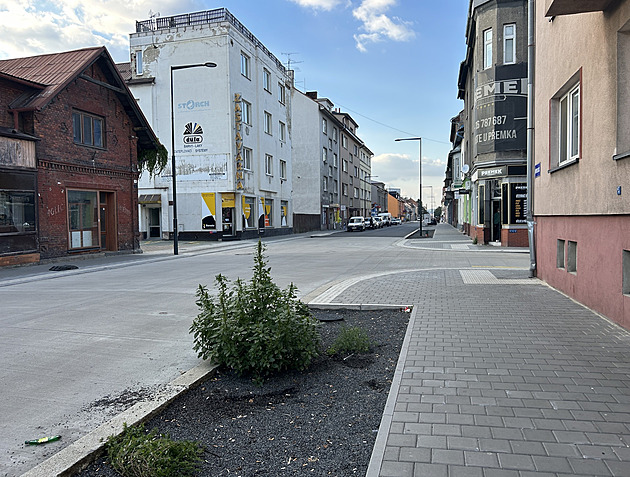 Koncepce zeleně v Ostravě říká, kde chybí a jak ji kultivovat