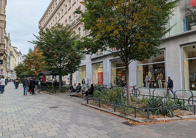 Centrum Brna zkrášlí stovky nových stromů, růstu pomůže speciální podzemní systém