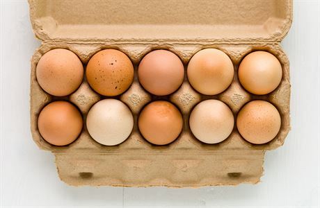 Nechlazená vejce v EU jsou bezpečná. Infekcím odolávají díky špíně
