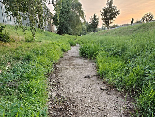 Vyschnutí toku může být fatální, varují vědci. Organismy zabijí čtyři týdny sucha