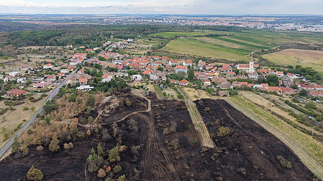 Požár u Národního parku Podyjí se rychle šířil k vesnici, vznikl asi od cigarety