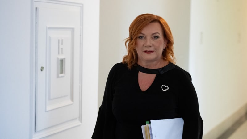 Odskáčou to lidé v nájmech, varují ekonomové před zvýšením daně z nemovitostí podle Schillerové
