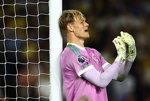 Newcastle – Hull: Kde sledovat Premier League, sestavy, statistiky, kurzy